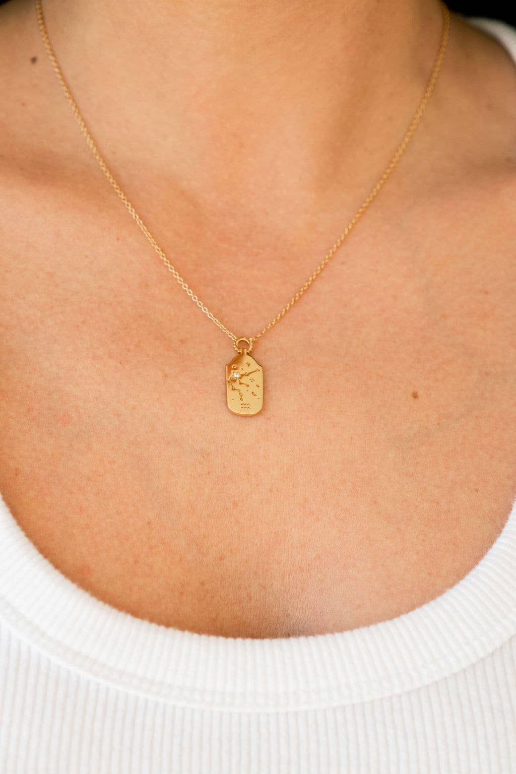 The Land of Salt Zodiac Charm Necklace