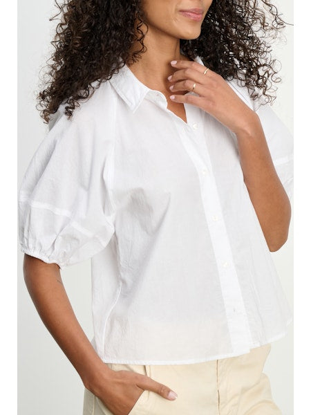 Velvet by Graham & Spencer Autumn Shirt